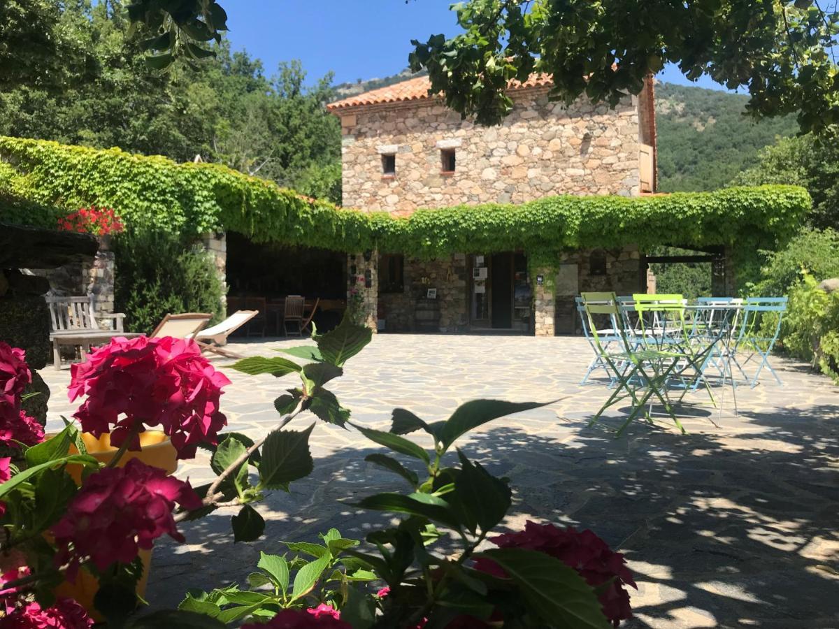 A Muvrella Bed & Breakfast Pioggiola Екстериор снимка