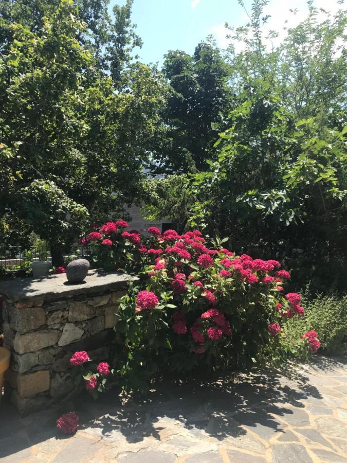 A Muvrella Bed & Breakfast Pioggiola Екстериор снимка